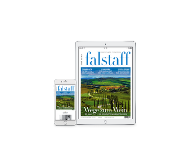 E-Paper Falstaff Magazine Austria 03/2021