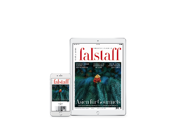 E-Paper Falstaff Magazine Austria 06/2019